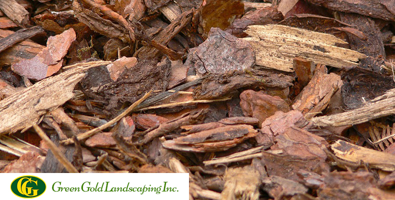Pine Bark: Eco-Friendly Mulch - Everything You Need to Know