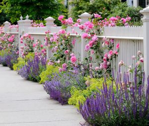 10 Instant Curb Appeal Landscaping Ideas on a Budget - Green Gold ...