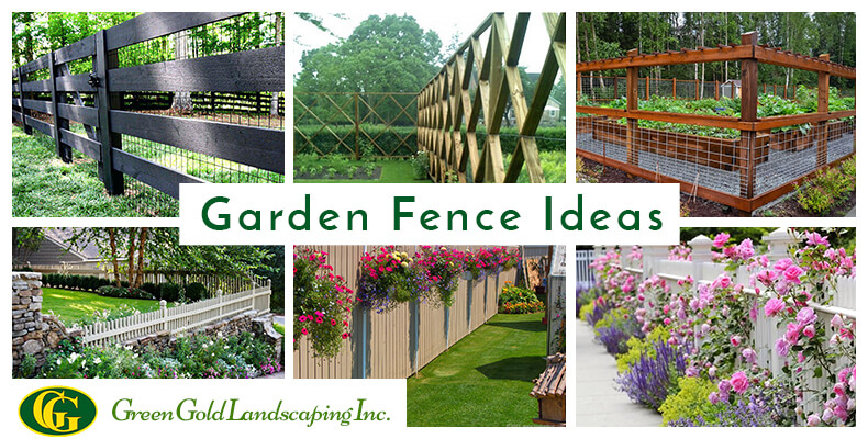 10 Beautiful and Cheap Garden Fence Ideas for Privacy - Green Gold