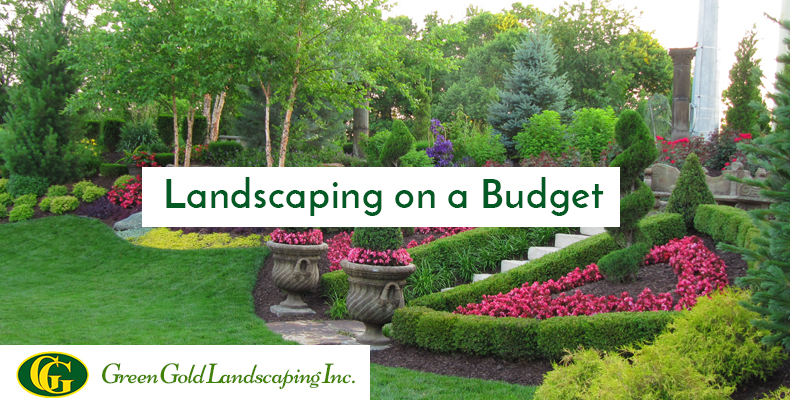Landscaping On A Budget : 5 Simple Steps To Transform Your Lawn