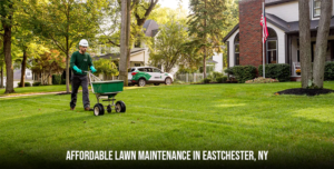 Affordable Lawn Maintenance in Eastchester, NY