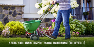5 Signs Your Lawn Needs Professional Maintenance (Not DIY Fixes)
